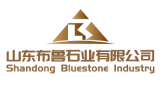 Shandong Blue Stone Industry Co., Ltd